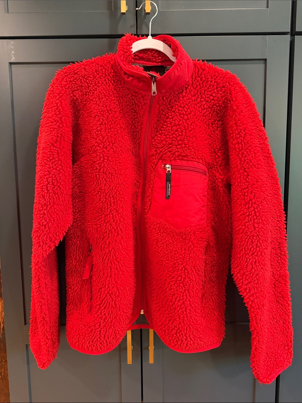 Rare Patagonia Red Sherpa Jacket